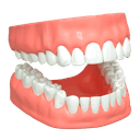 Denture Repair