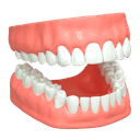 Denture Repair